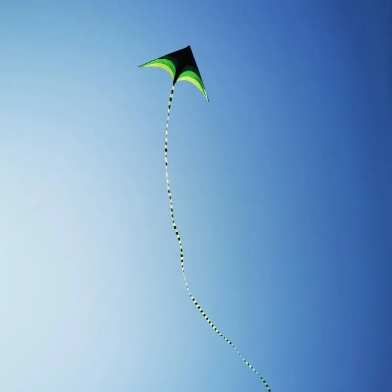Large Delta Kite for Kids & Adults Easy To Fly Large Huge Delta Kite Come with 5m Tail Easy To Fly Kite Outdoor Toy