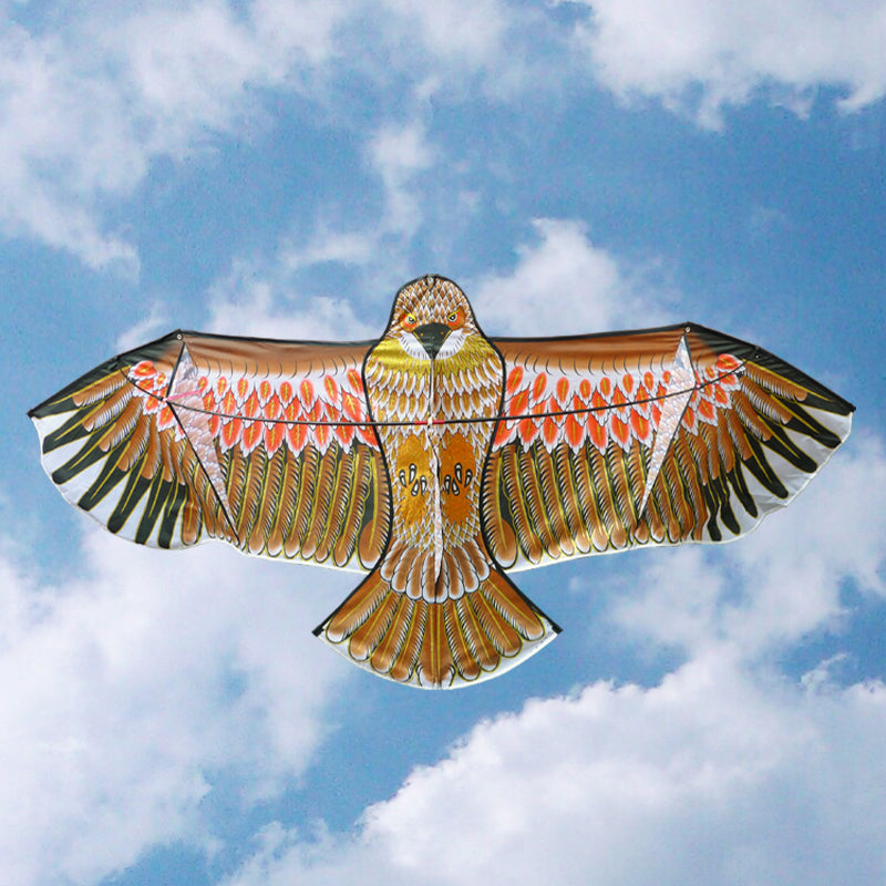 1.1m 3D Flat Eagle Kite – Large Flying Bird Kite for Kids, Outdoor Cloth Toy, Random Color