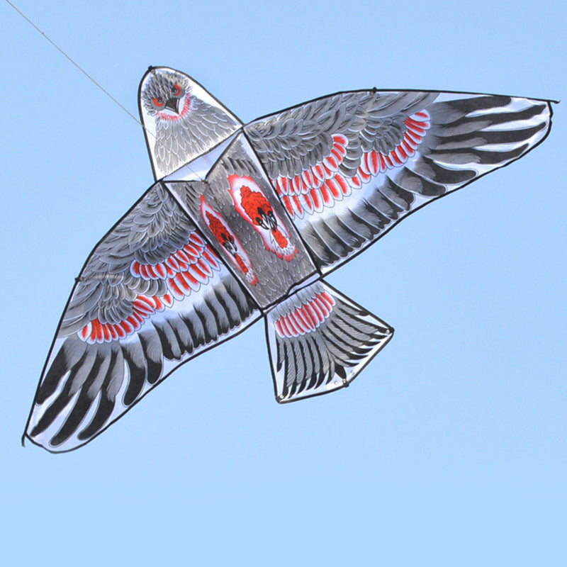 1.1m 3D Flat Eagle Kite – Large Flying Bird Kite for Kids, Outdoor Cloth Toy, Random Color